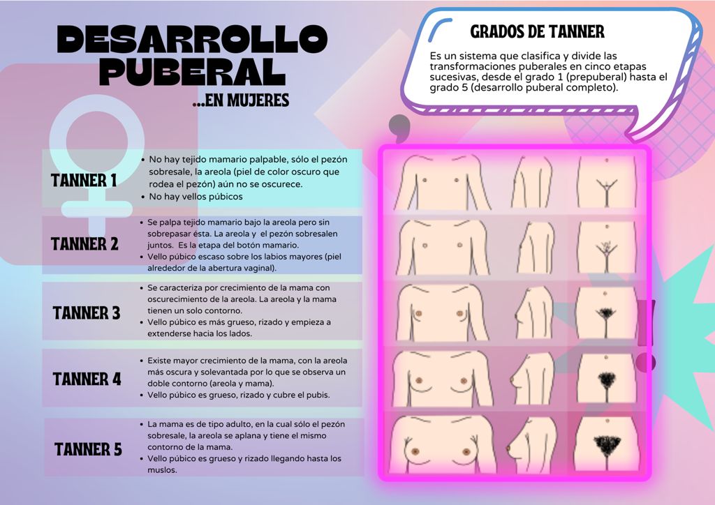 Desarrollo Puberal… en Mujeres
